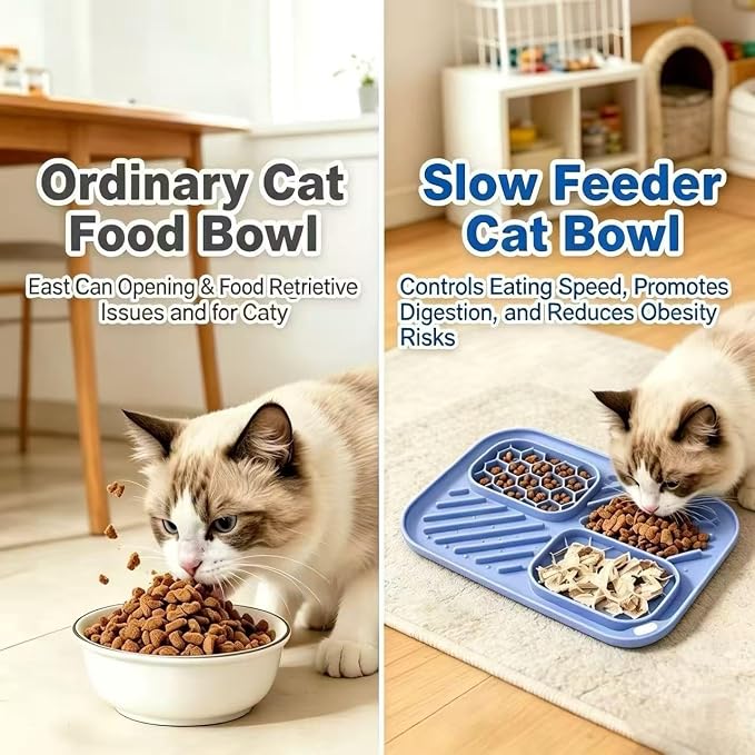 AZY 3-Piece Slow Feeder Cat Bowl Set with Strong Suction Cups