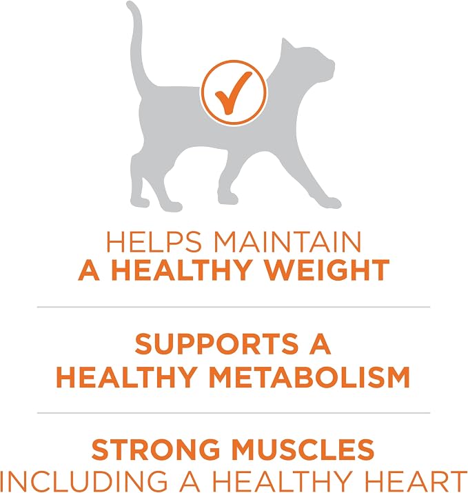 Purina ONE Healthy Weight Dry Cat Food, High Protein, 3.5 lb Bag | Made with real chicken and L-carnitine to help burn fat, plus antioxidants for immune support and calcium for strong teeth