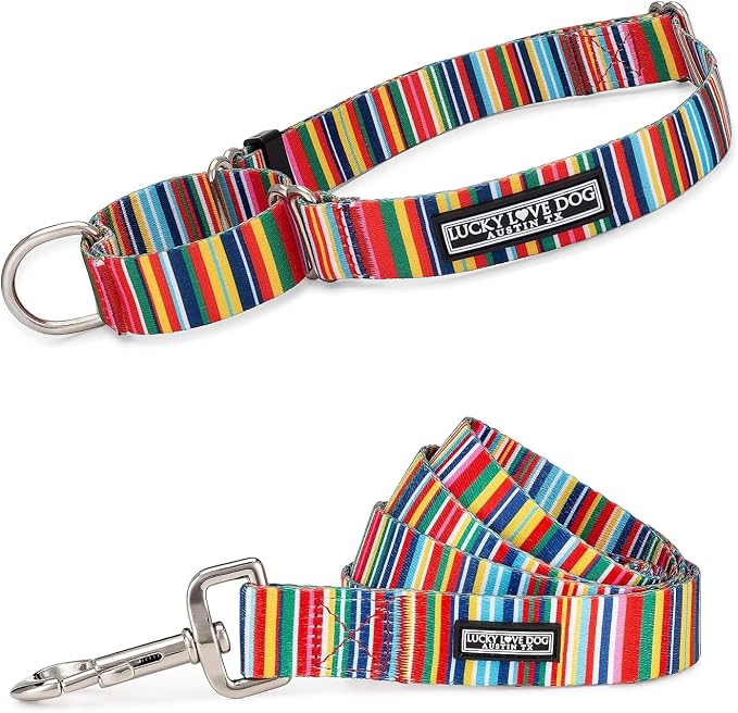 Lucky Love Dog Martingale Collar & Leash Set No Slip Cute – Hippie, Small