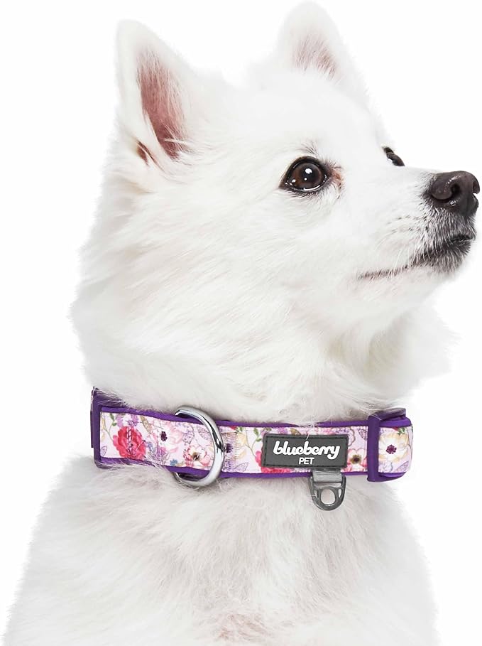 Blueberry Pet Soft & Comfy Peony Flower Print Neoprene Padded Adjustable Dog Collar, Mauve, Large, Neck 18"-26"