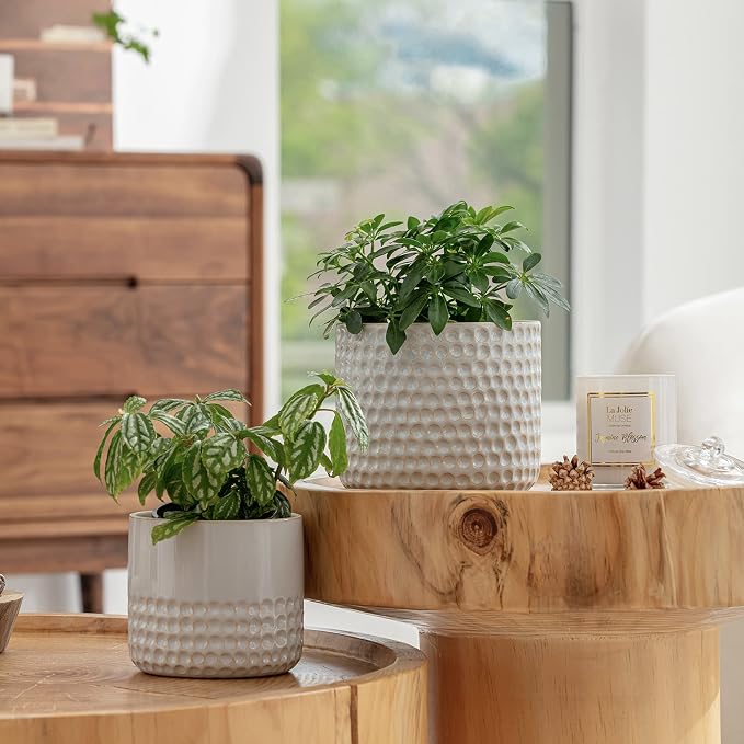 La Jolie Muse Ceramic Planter - 6.7+5.5 Inch Concave Dot Patterned Cylinder Flower Pot W/Drain Hole for Indoor, Set of 2, Glacier Gray | 6.7+5.5 Inch, Grey Dot Pattern Ceramic Planter with Drainage Hole, Decorative Planter Pots for Indoor Plants, Home ...