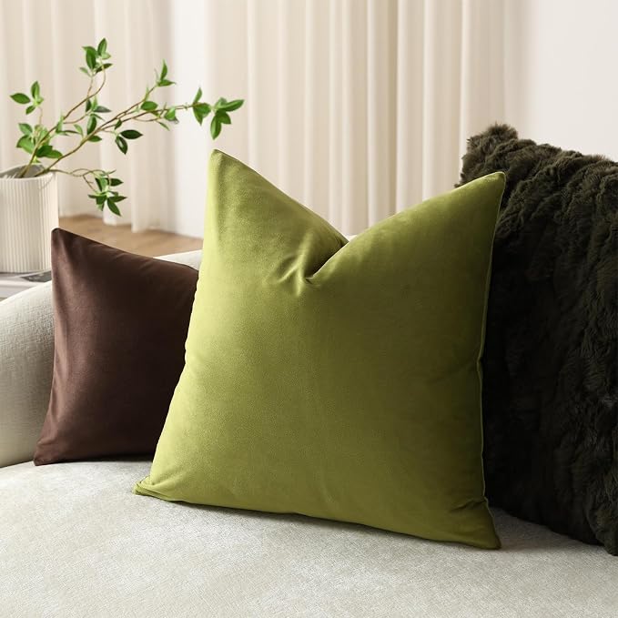 Throw Pillow Covers 22x22 Chartreuse: Pack of 2 Cozy Soft Velvet Square Modern Luxury Decorative Throw Pillow Cases for Sofa Couch Living Room Bed Home Decor