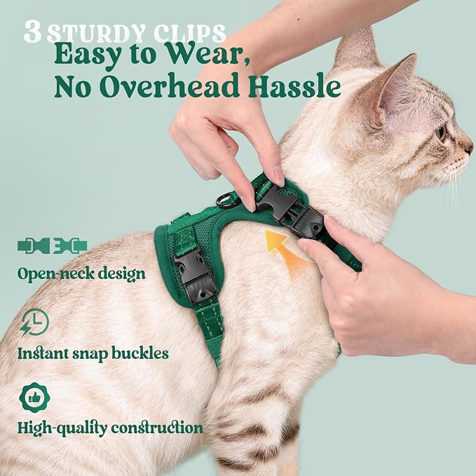 rabbitgoo Cat Harness and Leash, Easy-on with Neck Buckle, Dark Green