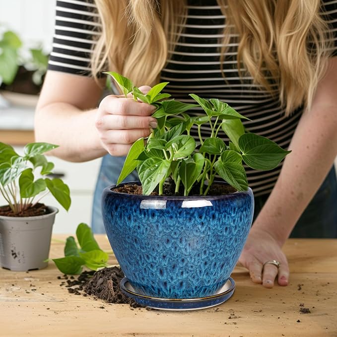 Ceramicfor 8 Inch Ceramic Plant Pot, Ceramic Planter Pot for Indoor Outdoor Plants, Round Flower Pot with Drainage Hole and Saucer, Blue