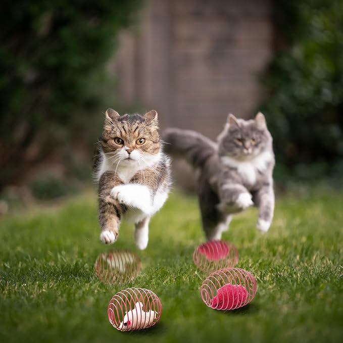 Jecery 5 Pcs Cat Toys Spring,Mouse,Pink