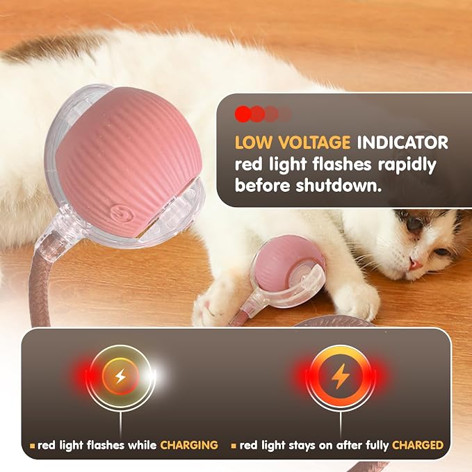 Rocfish Durable Interactive Cat Toys for Indoor Cats (Pink, 01)