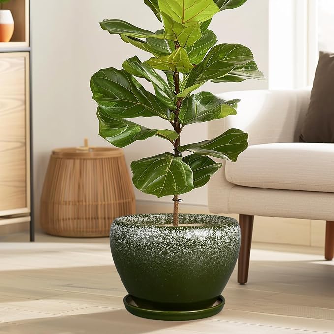 Ceramicfor 10 Inch Planter Pot - Ceramic Pots for Plants with Drainage Hole and Saucer, Round Large Flower Pot for Indoor Plants, Dark Green