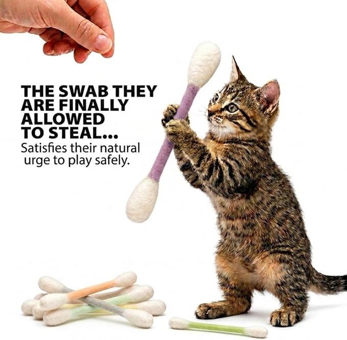 Glaciart One Swabs Cat Toys with Catnip - 6 Pk | Durable for Chew, Cute Cat Toys Interactive Kitty for Boredom, Exercise, & Play | Filled w/Organic Catnip for Anxiety & as Digestive Aid | Gift Idea