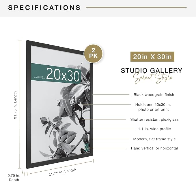 MCS Studio Gallery 20x30 Poster Frame Black Woodgrain Engineered Wood, Vertical & Horizontal Wall Hanging Large Picture Frame for Photos, Posters & Art Prints (2-Pack)