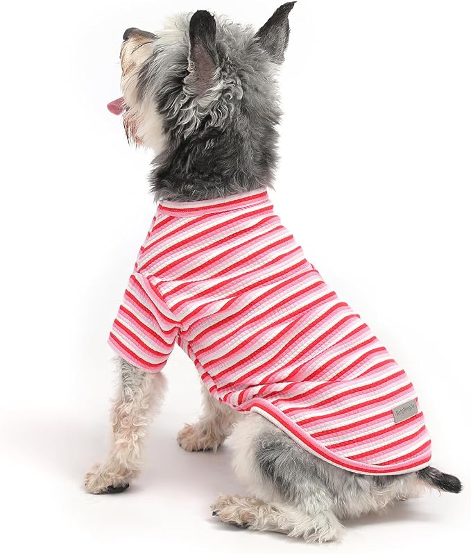 Soft Dog Shirt for Small Medium Dogs, Breathable Pet Clothes for Puppy Girl Boy, Stretchy Cotton Dog Tshirts, Fits Beagles, Dachshund, Bichon, Green Stripe-L