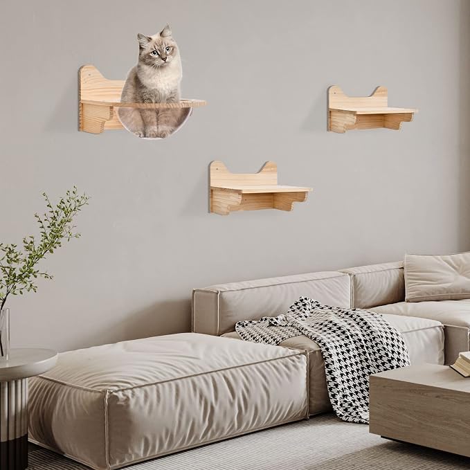 Space Capsule Style Transparent Cover Cat Bed, Wall Mounted Cats Shelf House, Small Pets Bed Toy Furniture for Living Room Pet Room, Load of 44 Lbs (Space Capsule+ 2 Jumping Platforms)