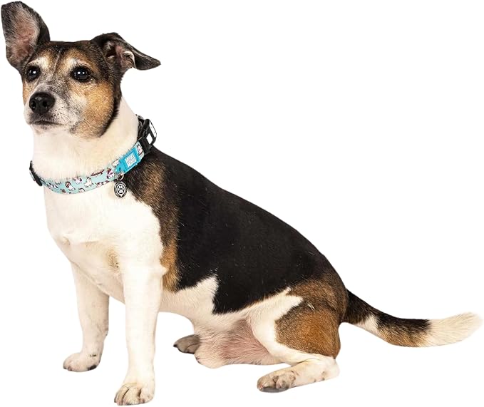 Max & Molly Urban Pets Smart ID Dog Collar - Soft Neoprene, Waterproof, Machine Washable, Power Buckle, Gotcha! QR Tag & Custom App Profile, Unicorns S