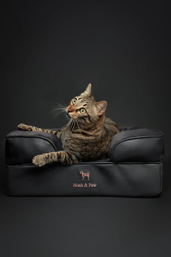 NOAH & PAW Small Dog Bed, 20x15x8 Inch, Cat Bed for Indoor Cats, Orthopedic Eggshell Memory Foam Infused with Cooling Gel, Water Resistant Inner Cover Machine Washable (Faux Leather)