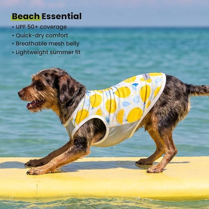 Fitwarm 2 Pack Ice Lemon UPF 50+ UV Sun Protection Dog Shirt, Lightweight Dog Cooling Vest, Quick Dry Summer Clothes for Small Dogs Boy Girl, Pet Outfit, Blue, Yellow, White, XXL