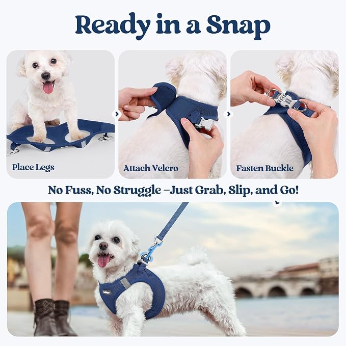 rabbitgoo Dog Harness Medium Sized and Leash Set, Step-in Puppy Pet Vest | Light, Soft, Breathable Air Mesh, Easy on and Remove with Hook & Loop, Secure Reflective for Walking, Navy Blue XL