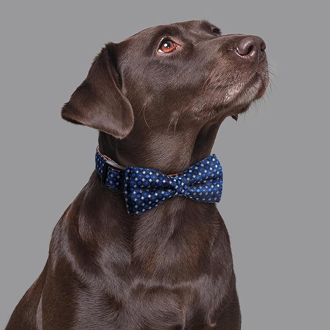 Bowtie Dog Collar Argyle Dark Blue Bow Tie for Boy Girl Dogs Medium