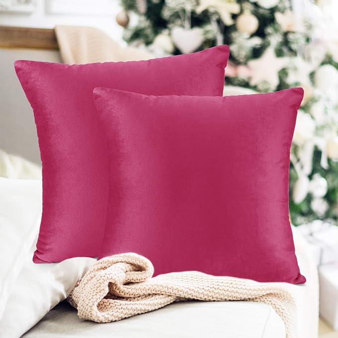 Throw Pillow Inserts Pack of 2 with Velvet Soft Solid Decorative Square Throw Pillow Covers Set for Sofa Couch Car Bedroom, 20X20 Throw Pillows Inserts with 18x18 Washable Cushion Covers, Hot pink