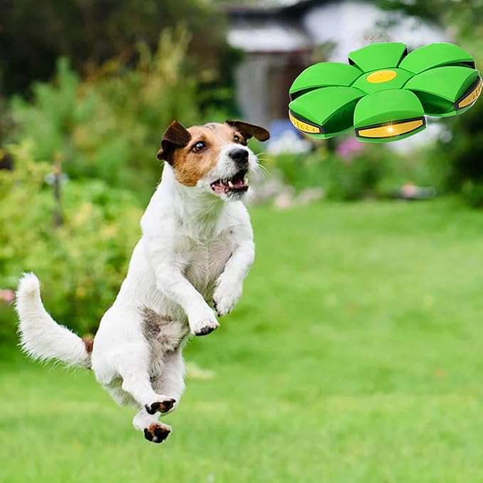 Magic Bouncing Ball, Magic Meta - Ball, Children's Magic Bouncing Balls, Doggy Disc Ball, Flying Saucer Ball, Parent-Child Interaction with Lights for Indoor & Outdoor Play Green and Blue