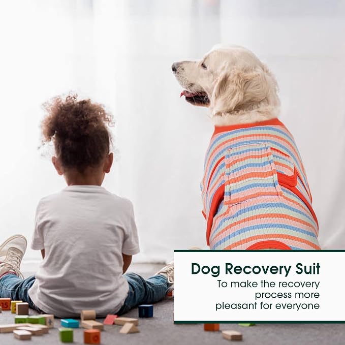 Kuoser Recovery Suit for Dogs Cats, Soft Dog Surgery Suit Female Male Spay | Professional Dog Onesie for Surgery, Substitute E-Collar & Cone, Prevent Licking Dog surgical suit Pet Neuter Suit