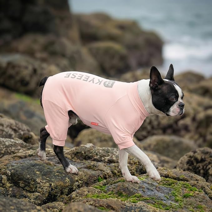 KYEESE UPF50+ Dog Sun Shirt for Small Dogs Cooling Onesie for UV Protection | Cooling Breathable Fabric, Reflective Design, Shedding Control, Skin-Friendly for Sensitive Dogs, Easy On/Off, Quick Dry