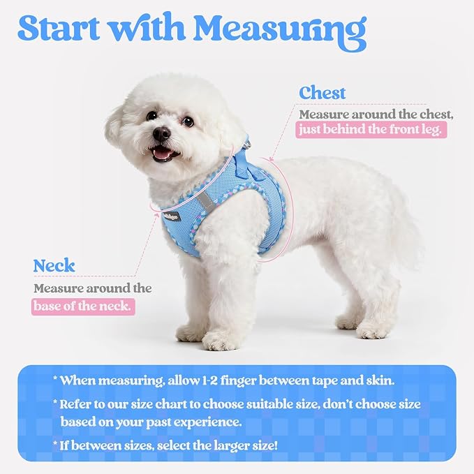 rabbitgoo Dog Harness Small Sized and Leash Set, Step-in Puppy Pet Vest | Light, Soft, Breathable Air Mesh, Easy on and Remove with Hook & Loop, Secure Reflective for Walking, Blue & Plaid Trim XXS