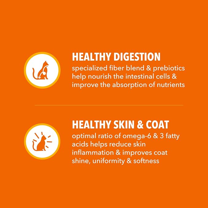 IAMS Proactive Health Healthy Adult Dry Cat Food, Salmon, 7 lb | Veterinarian-recommended, real salmon #1 ingredient, supports muscle, heart, digestion, skin & teeth