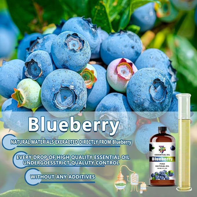 Blueberry Essential Oil – Blueberry Oil for Diffuser, Humidifier, DIY Candles, Soap, Home, Gift – 8 fl oz (240 ml) – GV77ZF