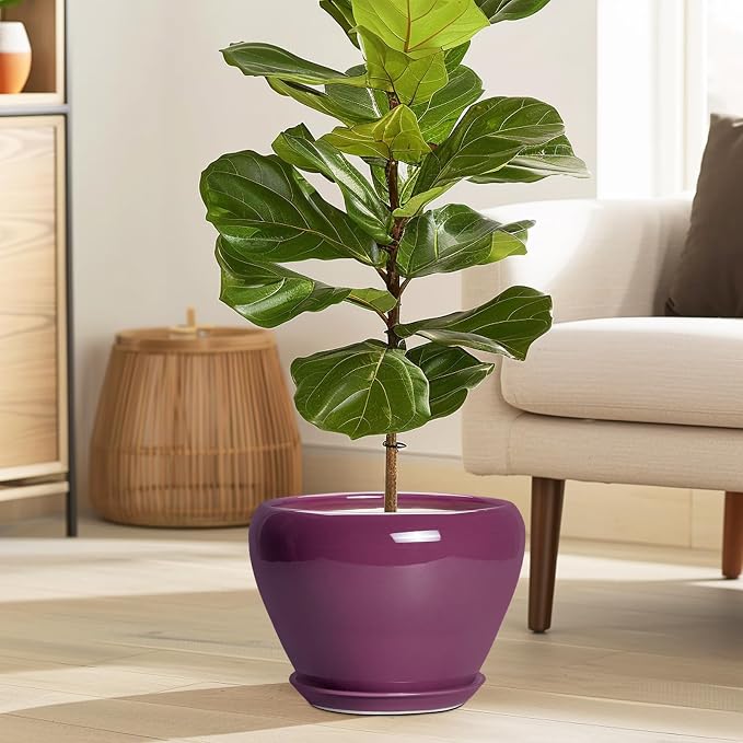 Ceramicfor Ceramic Planter - 8 Inch Plant Pot Indoor with Drainage Hole and Saucer, Glaze Decorative Planter, Round Flower Pot, Plant Lover Gifts, Home Garden Office Decor, Purple