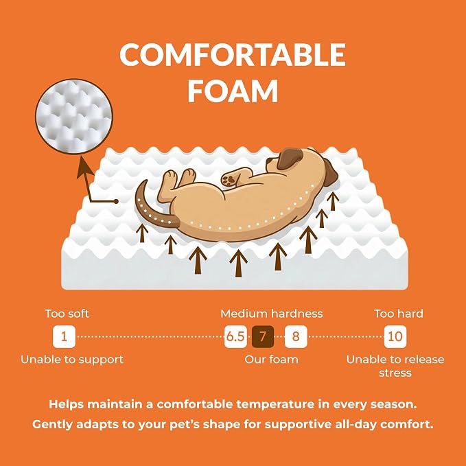 Elevated Wood Dog Bed Frame Mat Set, Whitecolor, Medium | Raised Sturdy Attractive Dog Sofa Couch Furniture,60 lb