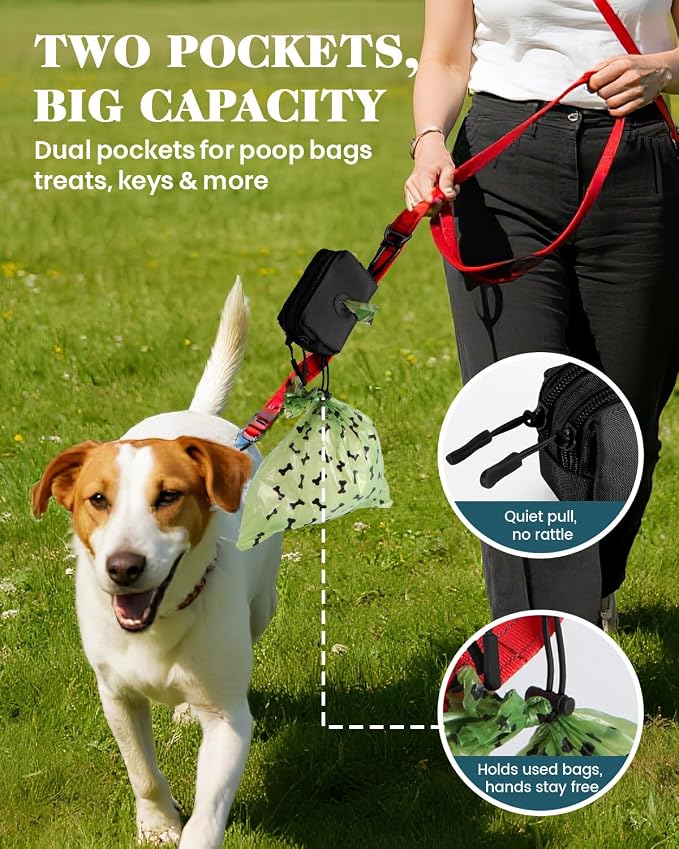 Dog Poop Bag Holder for Leashes, Black Doggie Waste Bag Dispenser and Treat Holder, with Carabiner Hook and Poop Bag Clip, Used Waterproof Wear-Resistant Fabric and 2 Zippered Pouches for Walking