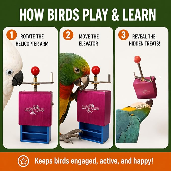 Bird Toys for Large Birds (Ele-Waiter) | Treat Dispenser | Foraging Bird Toys for Parrots, Cockatiel, Cockatoos & Macaws | Durable Cage Accessories for Medium to Extra Large Birds | Macaw Enrichment