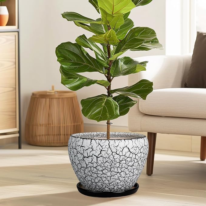 Ceramicfor Ceramic Planters for Indoor Plants - 10 Inch Plant Pot with Drainage Hole and Saucer, Large Flower Pot for Home Decor, White/Black