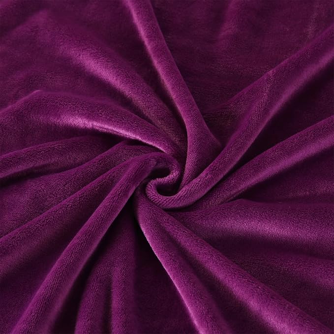 TASTHROW Purple Throw Blanket 60x80 Inches | Soft Plush Cozy Fleece Flannel Throw Blanket, Lightweight Warm Throws for Bed, Couch, Bedroom and Living Room, All Seasons