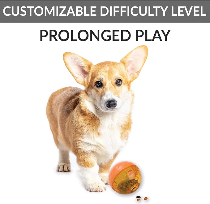 Our Pets IQ Treat Ball Interactive Food Dispensing Dog Toy, Assorted Colors (Pack of 2)