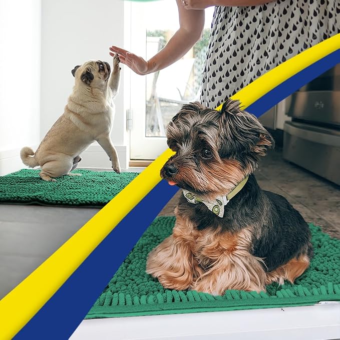 Muddy Mat® | Super Water Absorbent Door Mat Indoor, Microfiber Quick Dry Chenille Entryway Rug, Slip Resistant Front Door Mat, Indoor Mats for Entryway, Machine Washable Pet Rug, Dark Green 30"x19"