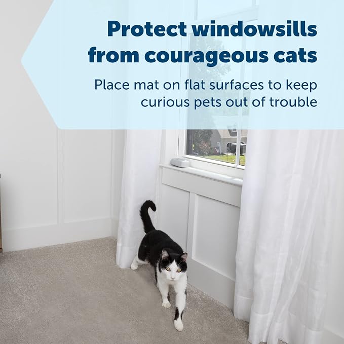 PetSafe ScatMat Indoor Training Mat