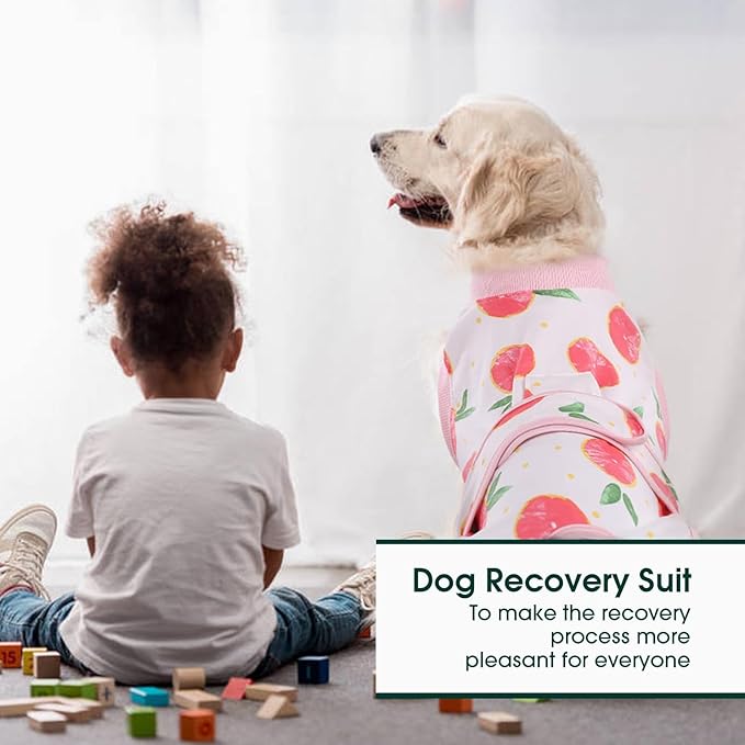 Kuoser Recovery Suit for Dogs Cats, Soft Dog Surgery Suit Female Male Spay | Professional Dog Onesie for Surgery, Substitute E-Collar & Cone, Prevent Licking Dog surgical suit Pet Neuter Suit