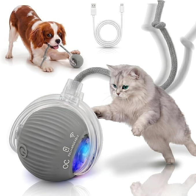 Interactive Cat Toy Automatic Moving Ball, Indoor Cats, Rechargeable, Gray