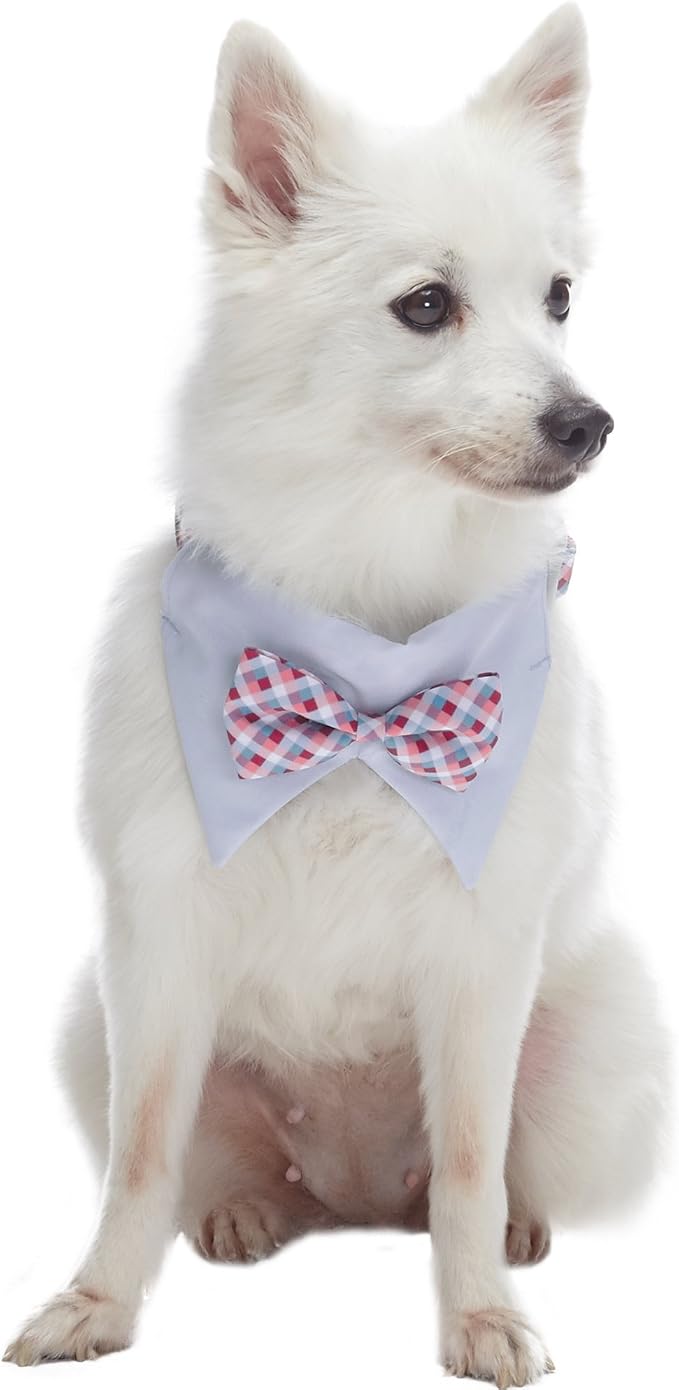 Blueberry Pet Timeless Multicolor Scottish Tartan Adjustable Dog Bandana Collar with Bow Tie, Medium, Neck 14.5"-20"
