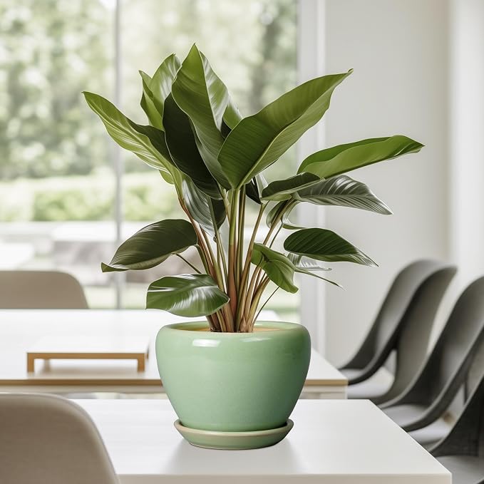 Ceramicfor 6 Inch Plant Pot - Ceramic Planter for Indoor Plants Round Planter Outdoor Plant Pot with Drainage Hole and Saucer Modern Flower Pot for Succulent Garden Green