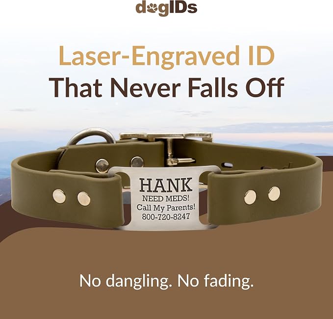 dogIDs Personalized Dog Collar – ScruffTag Custom Waterproof Biothane Dog Collar with Laser-Engraved Name, Durable & Odor-Resistant – USA Made | Sage, 3/4 in x 14 in (Fits Neck Sizes 12-16 in)