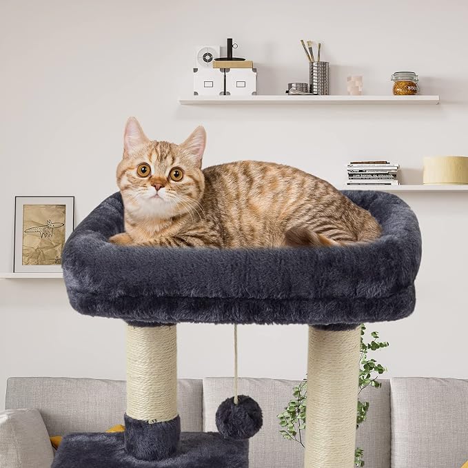 Cute Cat Tree Kitten Cat Tower Condo Cat Furniture Sisal Scratching Posts D | FISH&NAP For Indoor Jump Platform Activity Center Play House Dark Gray