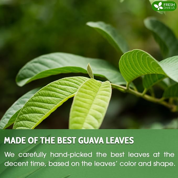 FRESHDRINKUS, Premium 75 Guava Leaf Tea Bags, 100% Natural & Pure. Loose Leaf Guava Herbal Tea. No Sugar, No Caffeine, No Gluten, Vegan.