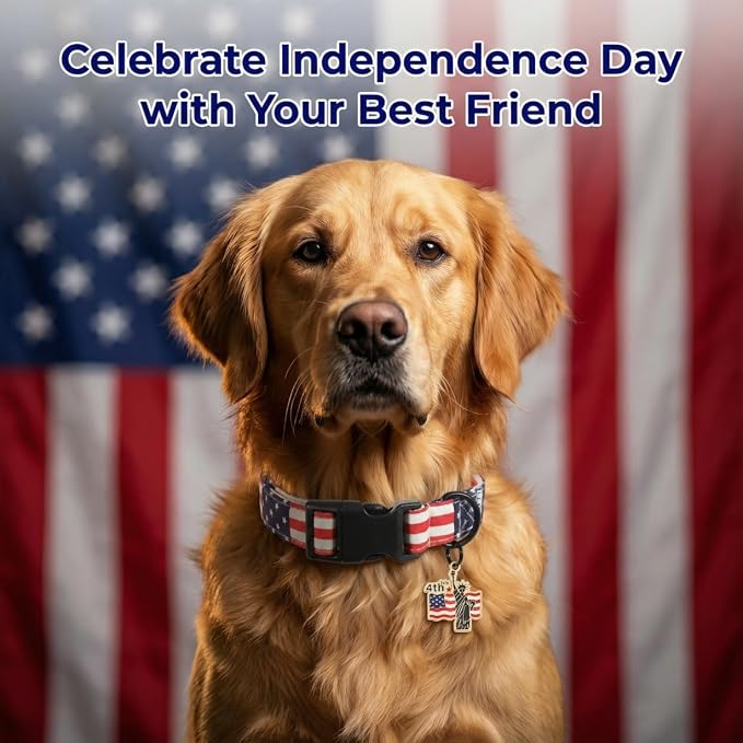 Patriotic Dog Collar, Boy Dog Collar with American Flag Pattern, Adjustable American Flag Collar for 4th of July Occasion & Daily Walking, Fits Puppy and Small Breeds