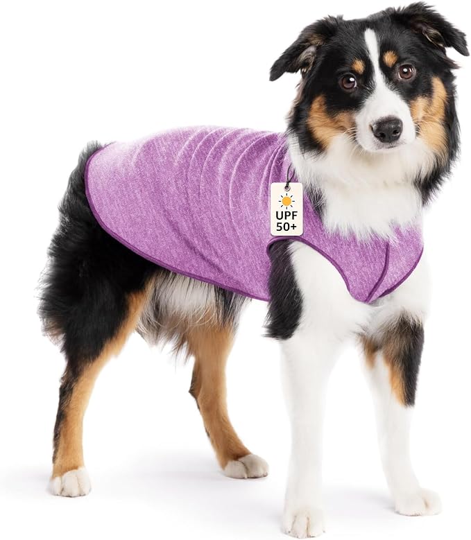 Goldpaw Dog Sun Shirt with UV Protection - Lightweight, Cooling Sun Protection Clothing for Medium Dogs - Reduce Heat Absorption - Made in the USA - Machine Washable - Violet - Size 14