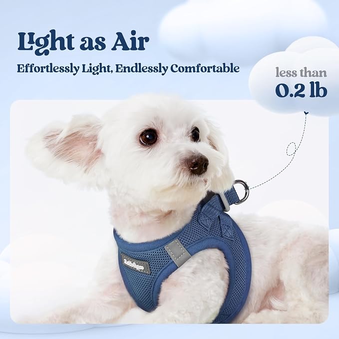 rabbitgoo Dog Harness Medium Sized and Leash Set, Step-in Puppy Pet Vest | Light, Soft, Breathable Air Mesh, Easy on and Remove with Hook & Loop, Secure Reflective for Walking, Navy Blue XXL
