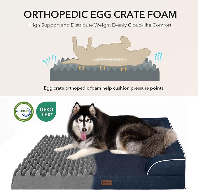 Orthopedic Washable Dog Bed for Medium Dogs, 35x22in, Navy Blue | Orthopedic Foam Eases Joint Pressure, Bolsters Supports Head And Neck, Washable Pet Beds, Removable Cover, Non-Slip Bottom