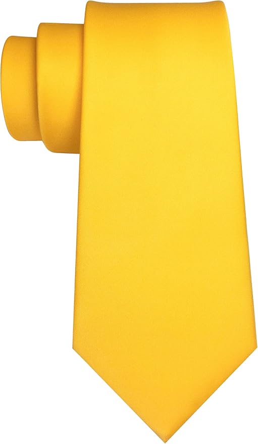 JEMYGINS Solid Color Tie Mens Necktie for Business and Wedding