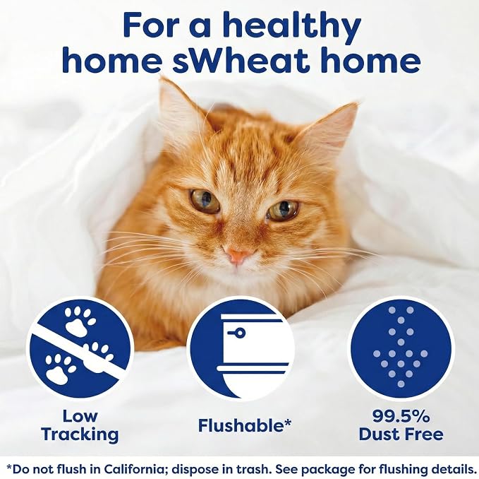 sWheat Scoop Triple Action Natural Wheat Cat Litter Odor Guard Technology, 3X Stronger Clumping, Super Absorbtion, 99.5% Dust Free Performance, 28 Pounds