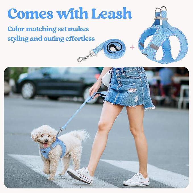 rabbitgoo Dog Harness Medium Sized and Leash Set, Step-in Puppy Pet Vest | Light, Soft, Breathable Air Mesh, Easy on and Remove with Hook & Loop, Secure Reflective for Walking, Blue & Plaid Trim L